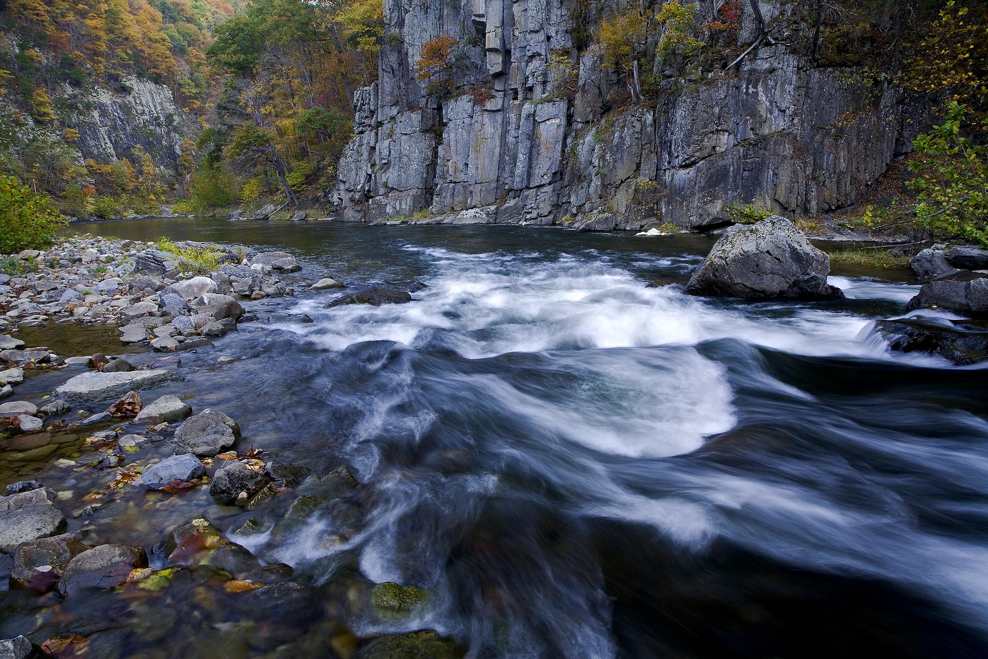 体系认证咨询服务