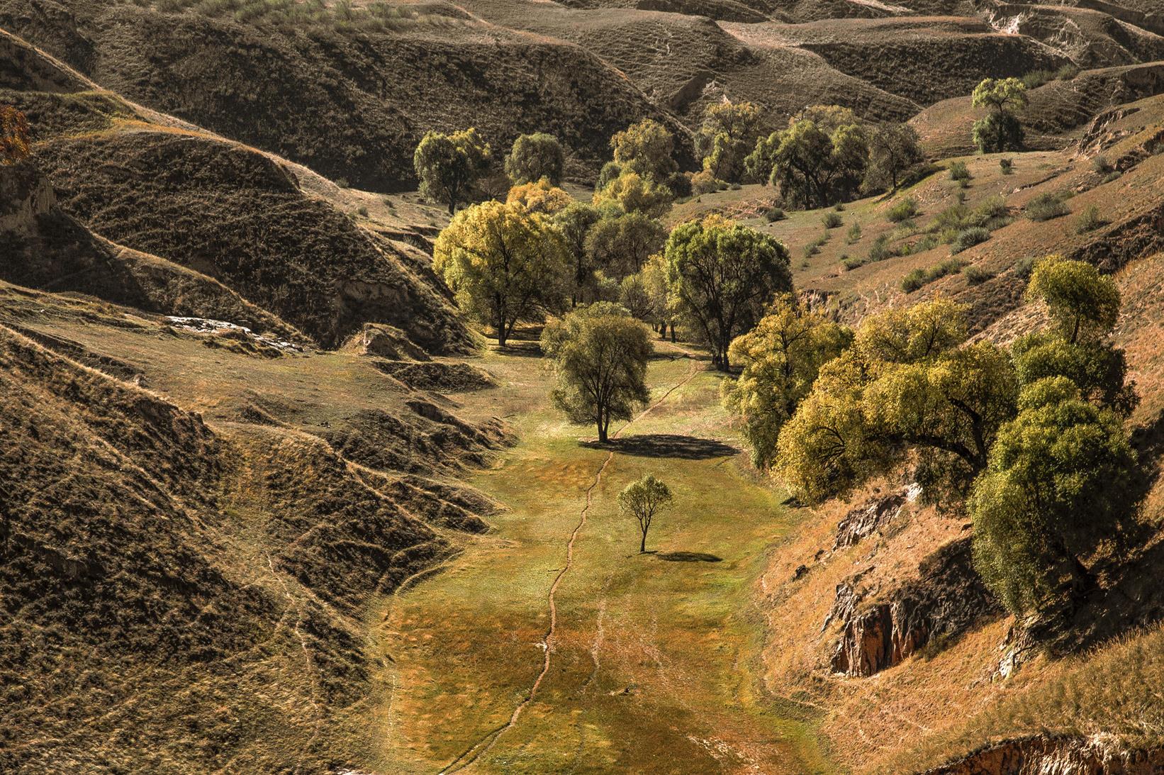 绿色报告咨询评价服务